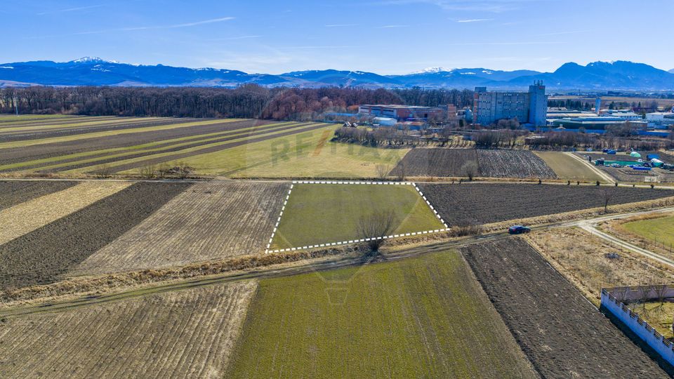 Land 3,700sqm Lunca Calnicului / Strada Principala