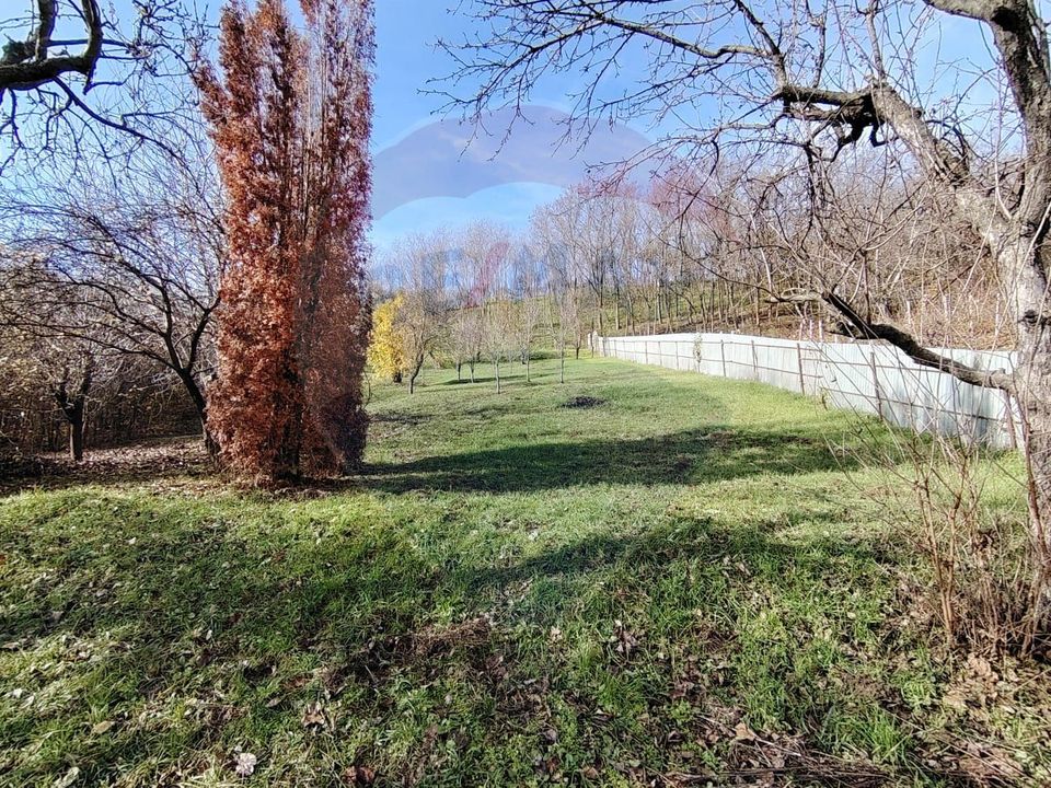 Lux Mediteranean si Intimitate pe 4.000 mp Domeniu Privat Gura Vaii