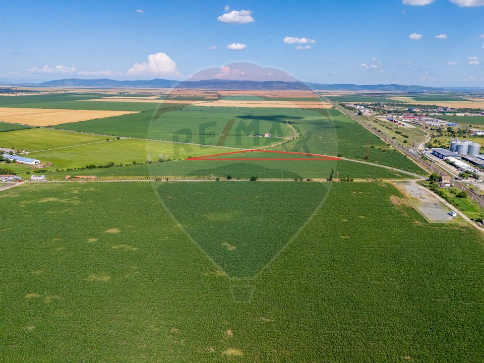 Land 13,233sqm Vladimirescu / Drumul Judetean vladimirescu- horia