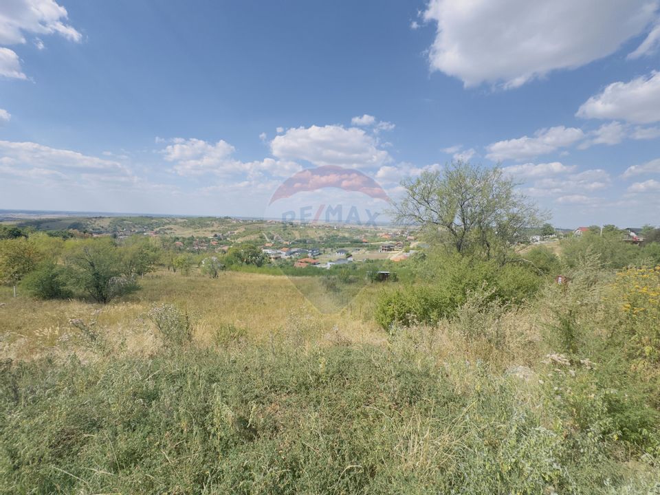 Teren  6.372mp Strs.Piersicilor/Str.Prunilor