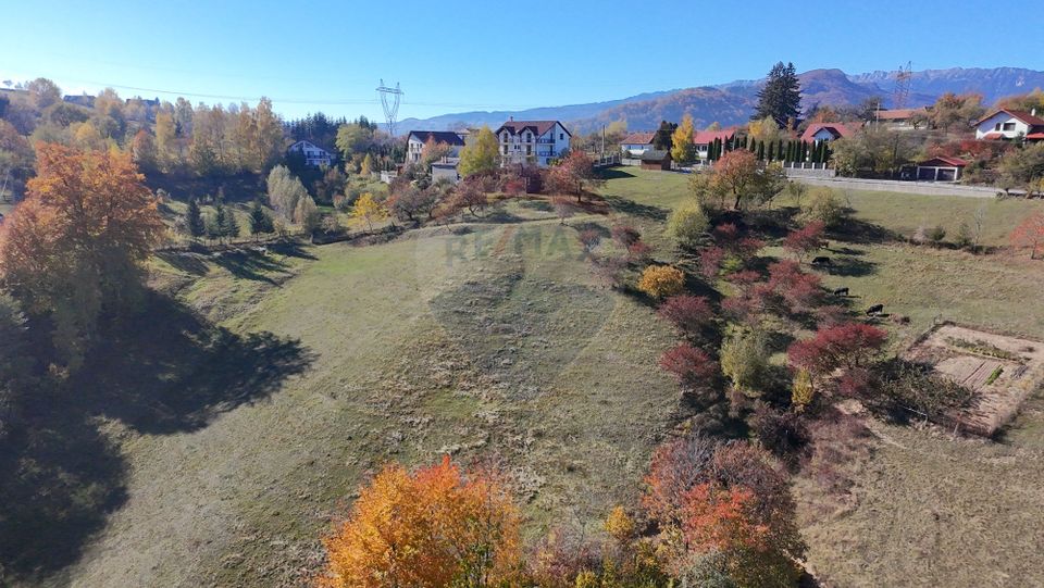 Land 3,500sqm Bran / Strada Bradul Inalt