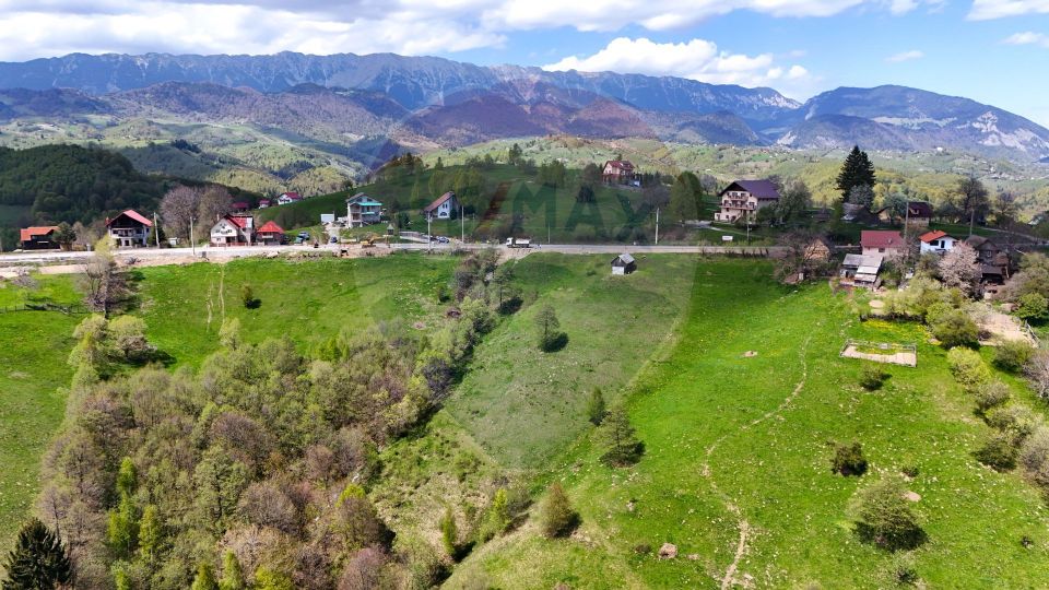 Land 5,694sqm Moieciu / Drumul Drumul Carului