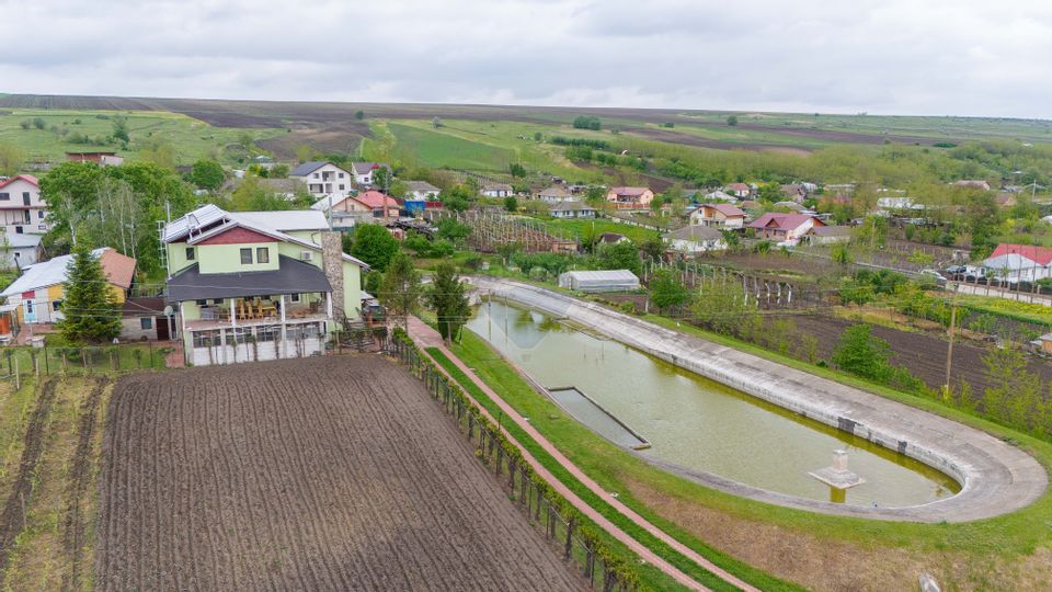 Casă / Vilă cu 10 camere, de vânzare. Todireni, Botoșani.