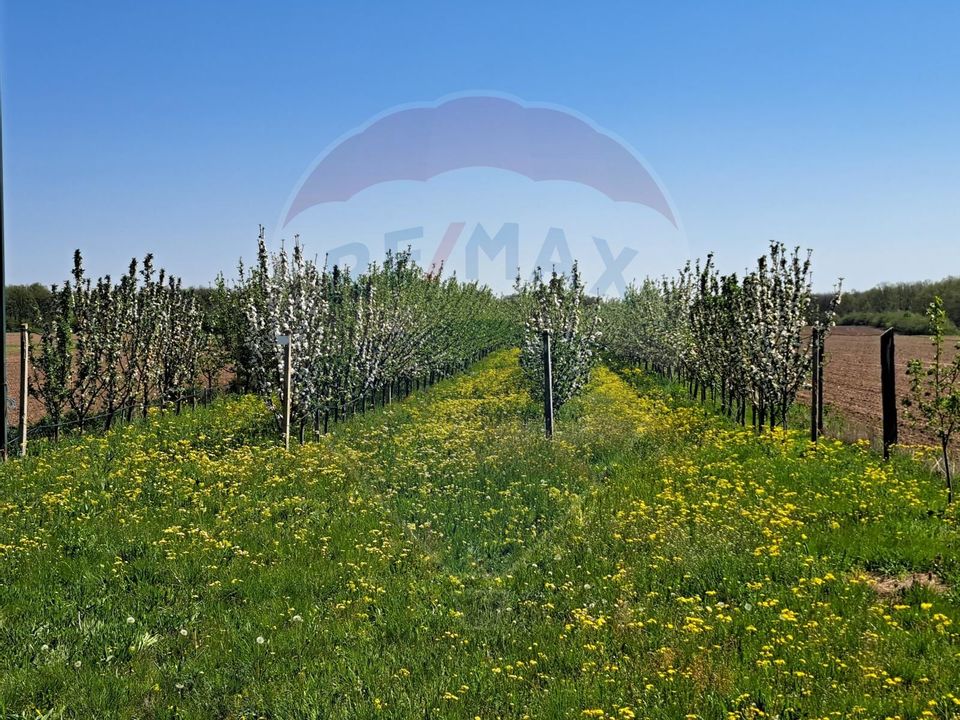 Vanzare teren Livada - Ferma Arges - Izbasesti / DN 142 langa Pitesti