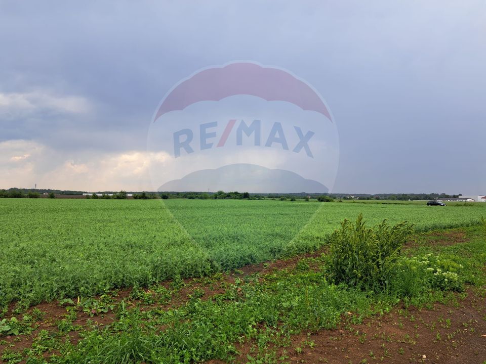 Teren Ciolpani 15.000 mp oportunitate posibilitate lotizare 5000 mp