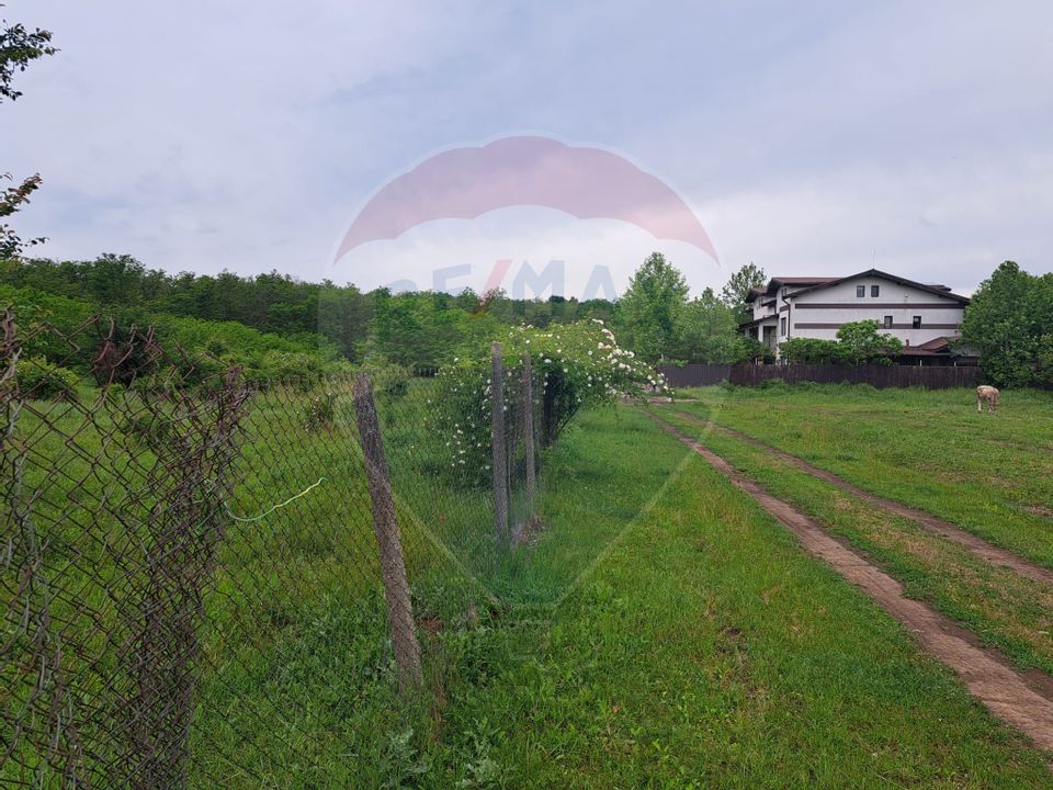 Teren Silistea Snagovului 500 mp apropiere padure