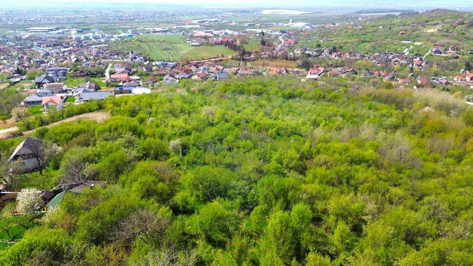 Land 951sqm Baia Mare / Strada Miron Costin