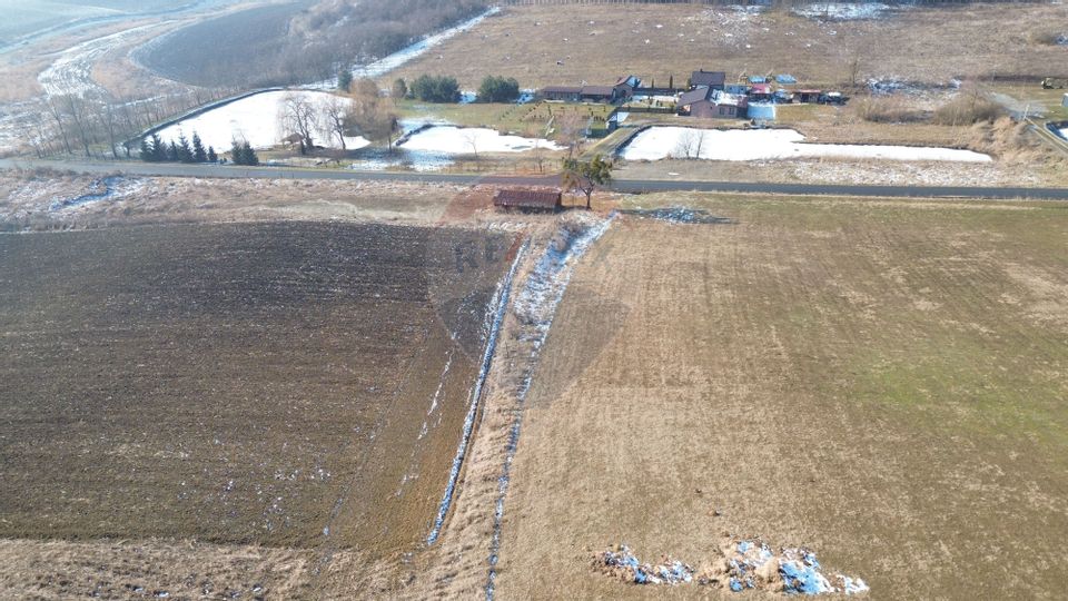 Teren pentru cabana 7.000mp in  Hoghilag, Tărâmul Tuberozelor