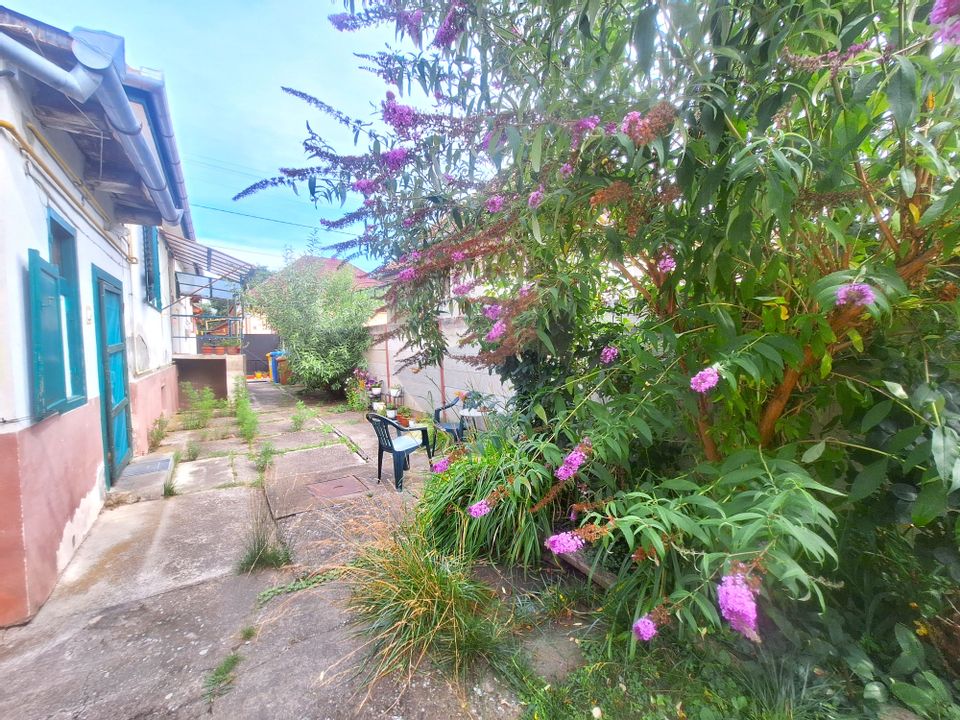 Casă cu grădină superbă – o oază verde în Sibiu