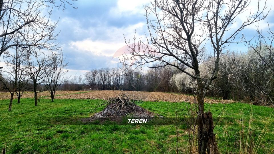 3 room House / Villa for sale