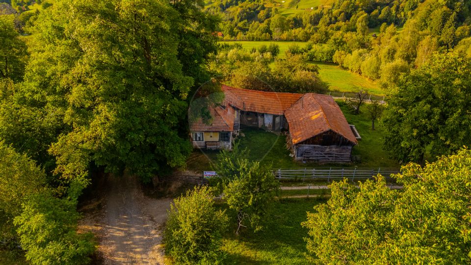 Land 3,000sqm Bran / Strada Clincea