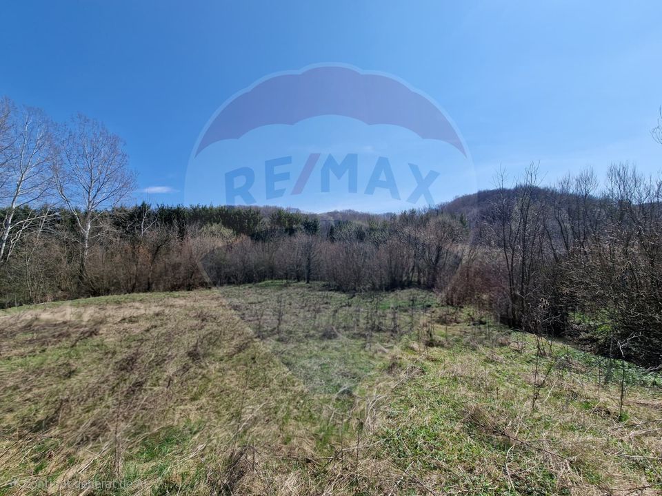 Teren 9,428mp Podiș / Calea Moinesti