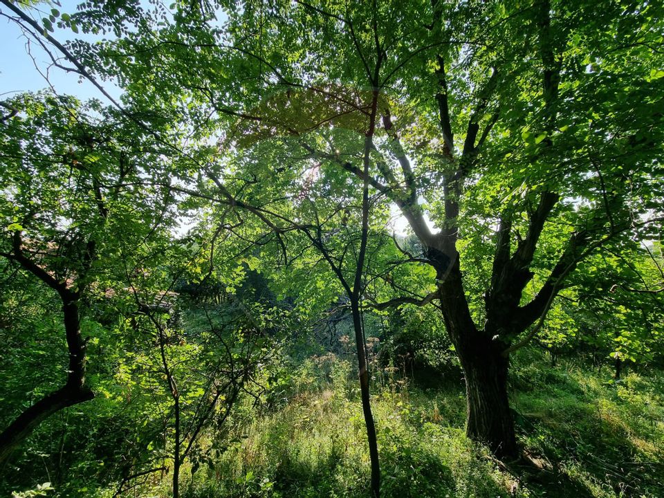 Teren cu Casa Veche in suprafata de 6000 mp, Breaza de Jos -Parcelabil