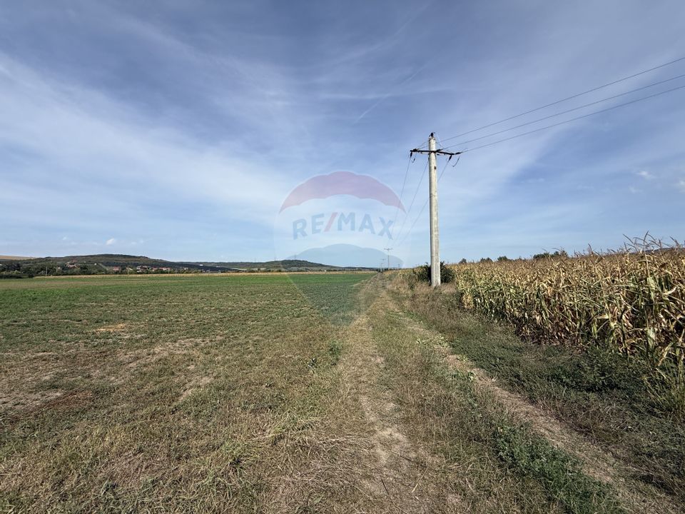 Land 5,765sqm Bontida / Drumul Fara Nume