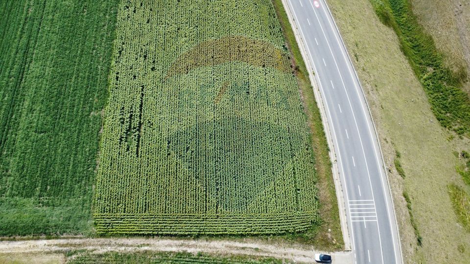 Land 3,500sqm Ilisesti / Strada Principala