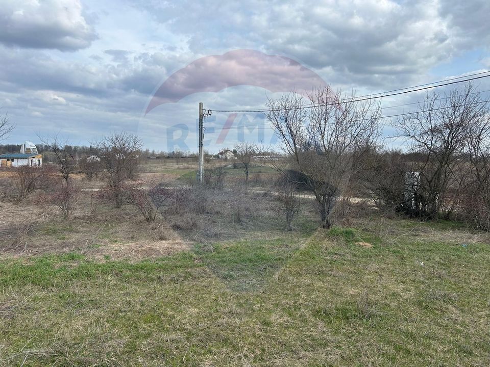 Land 700sqm Izvorani / Strada Gradinarilor