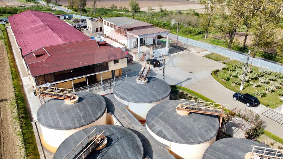 Crama din Buciumeni Afacere la cheie