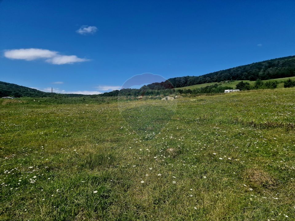 Land 5,000sqm Piatra-Neamt / Strada Punct Petruca