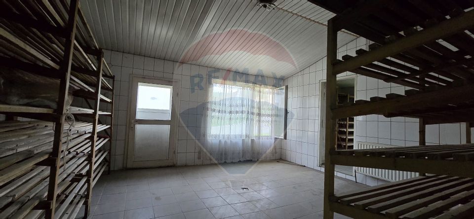 10 room House / Villa for sale