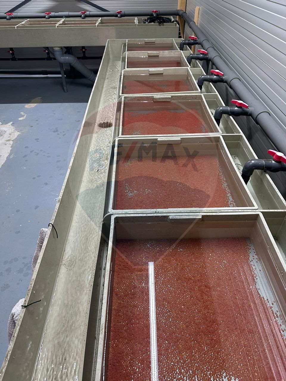 Pastravarie smart/ functionala/ Com.Rosia Bihor