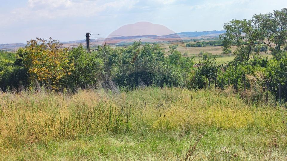 Loc de casa si teren cultivat cu vita de vie 1,28 Ha Santimreu Bihor