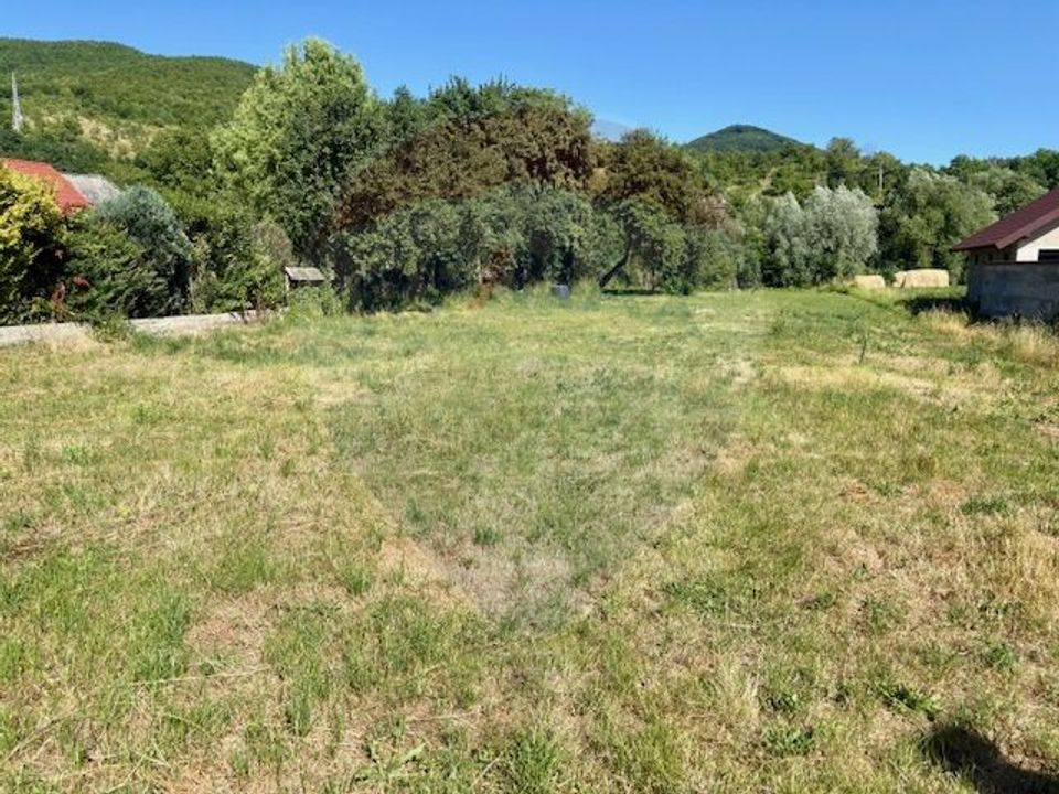 Land 3,154sqm Barsana / Intrarea principala