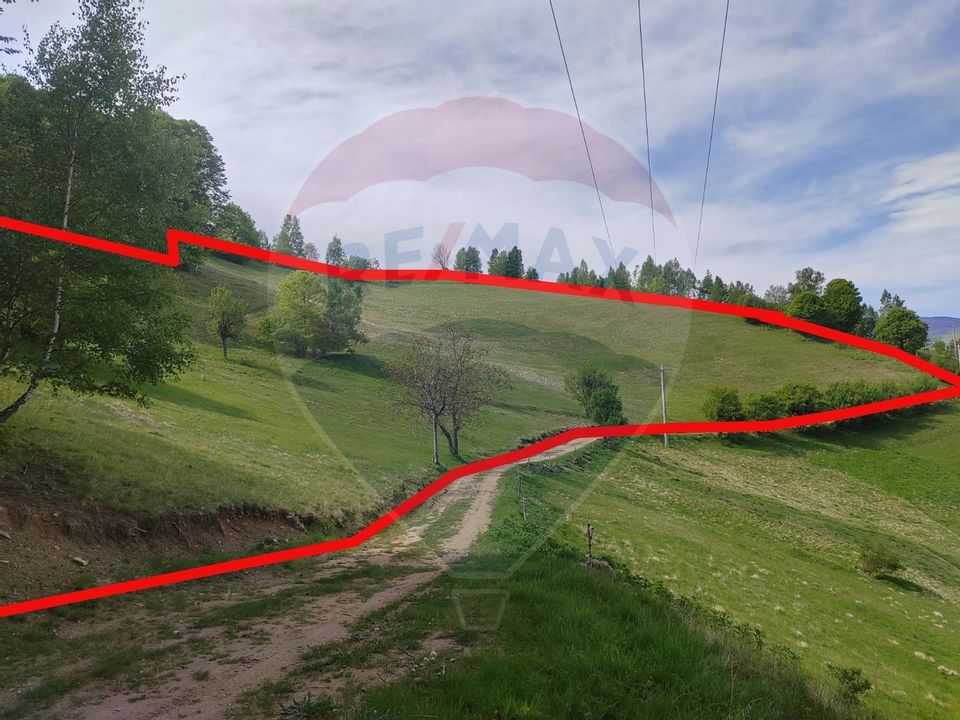 Land 20,131sqm Poiana Marului / Strada Fara nume