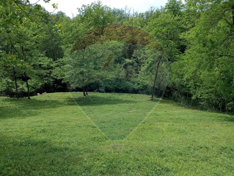 Vanzare casa  4 camere-microferma, cu panouri fotovoltaice