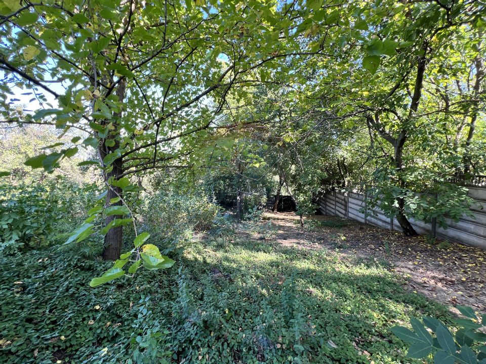 Casă cu potențial imens în Sat Lilieci, pe Aleea Florilor – lângă râul