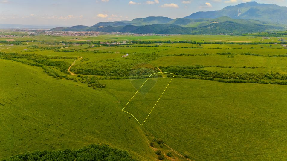 Land 10,800sqm Rasnov / Drumul DN73