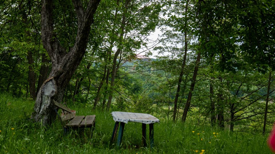 Vanzare teren intravilan in Breaza, cartierul Valea Tirsei 6870 mp