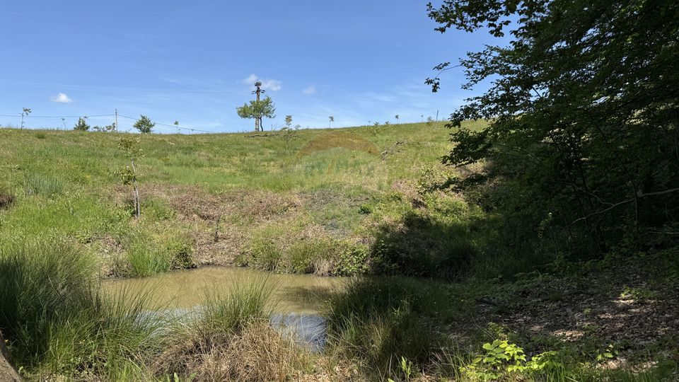 Teren de vanzare SE ACCEPTA SCHIMB CU PROPRIETATI