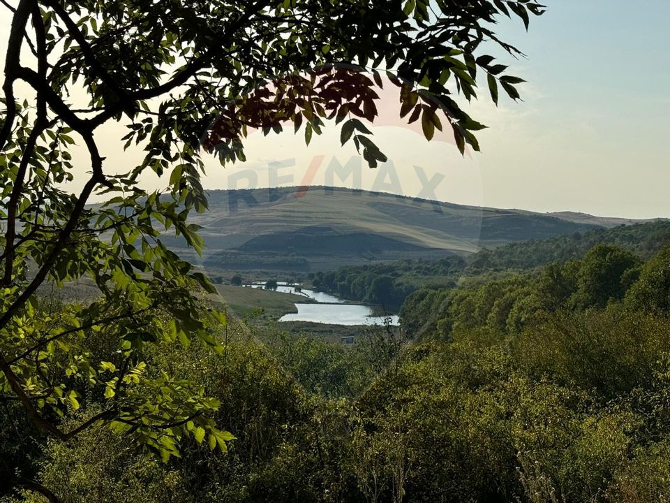 Land 50,000sqm Caianu-Vama / Strada Principala