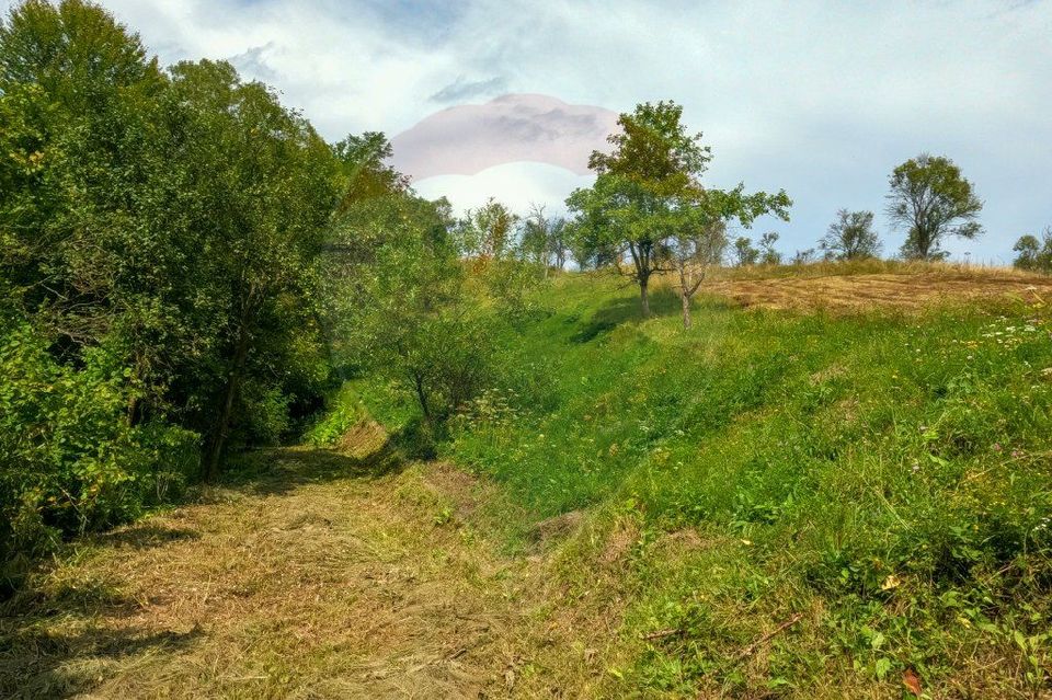 Casa veche cu teren ,Varmaga jud Hunedoara