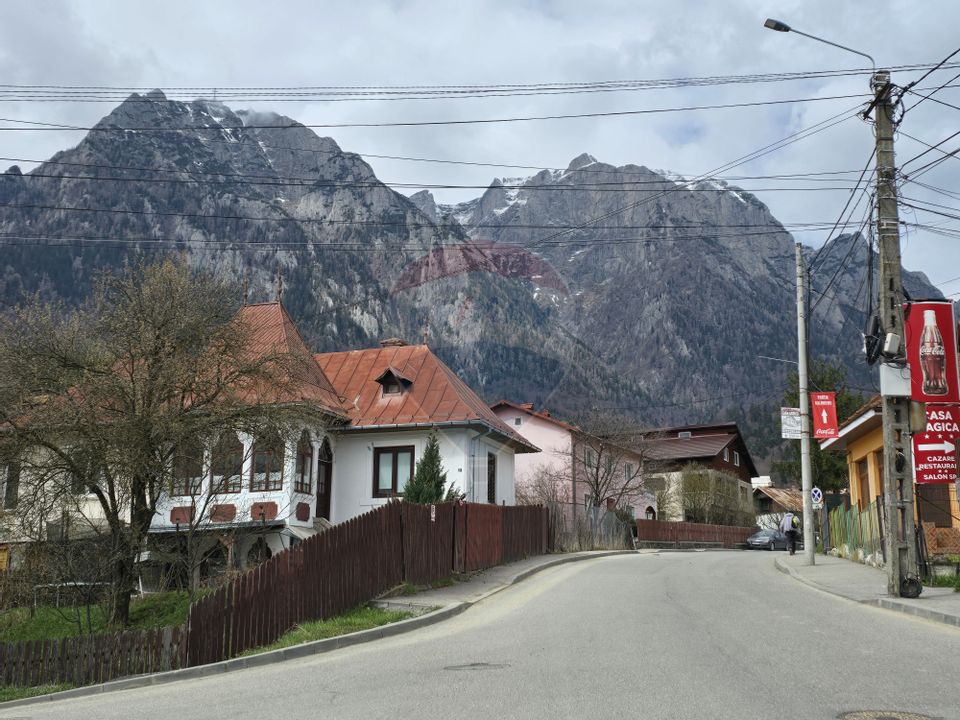 Vila unica in inima Bustenilor, vedere directa spre Caraiman