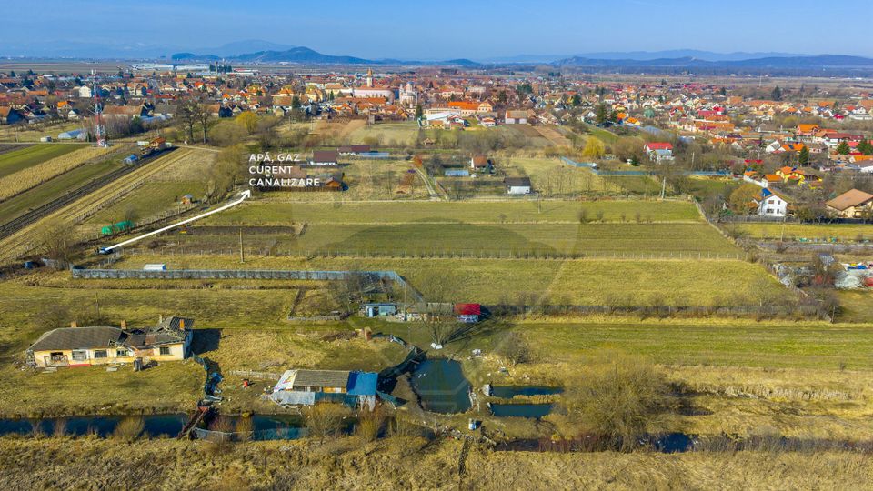 Teren Intravilan 5.000 mp Prejmer -  Strada Preot Ioan Popescu