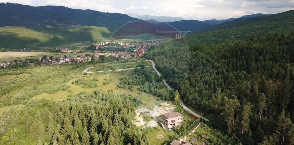 Teren Sacele / Strada Valea Larga 2000 mp