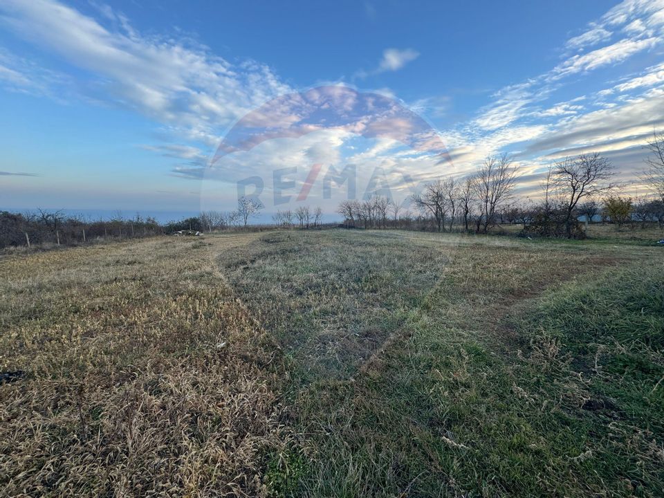 Land 2,636sqm Padureni (Jaristea) / Strada principala