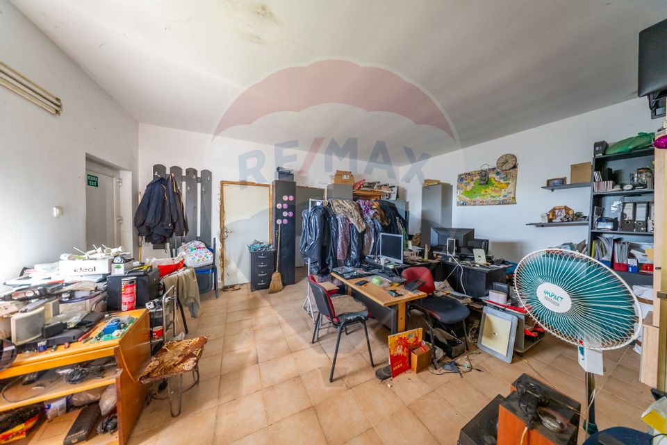 Spațiu industrial cu potential de vanzare in Paulis,Arad