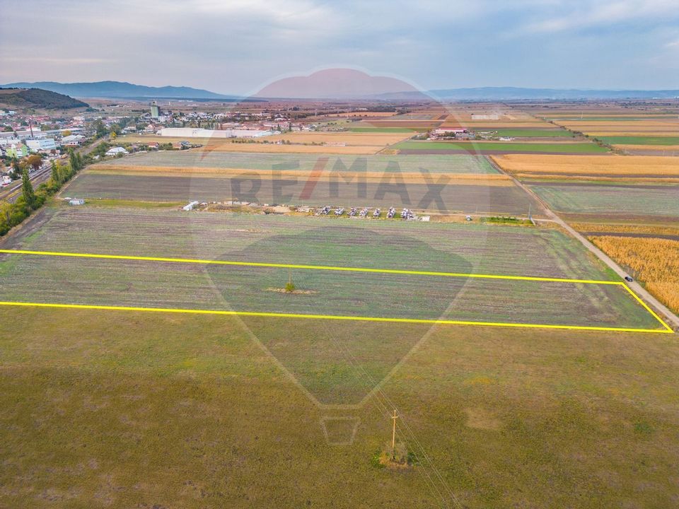 Land 10,000sqm Codlea / Drumul Drum secundar