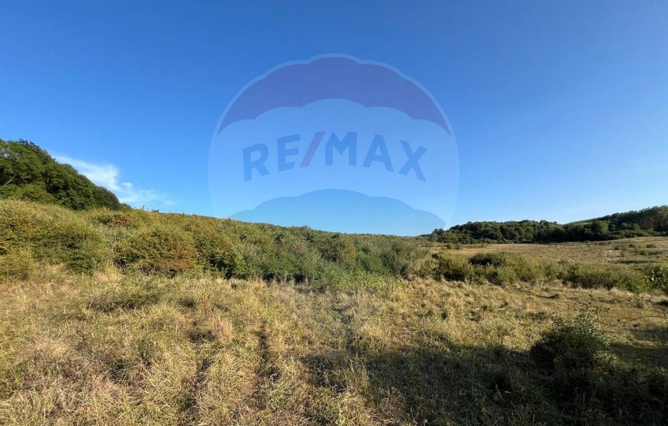 Land 50,000sqm Caianu-Vama / Strada Principala