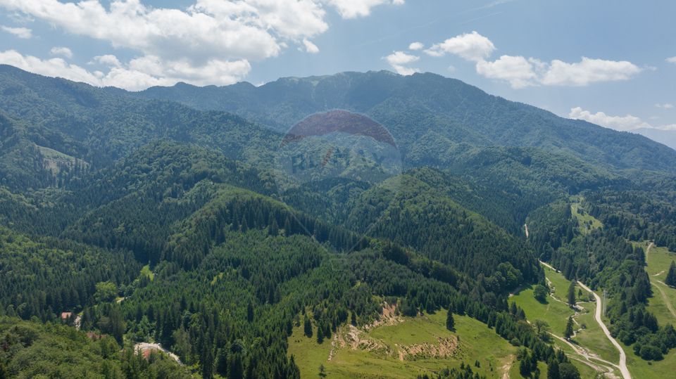 Land 3,500sqm Sacele / Strada colonel Kiss Sandor