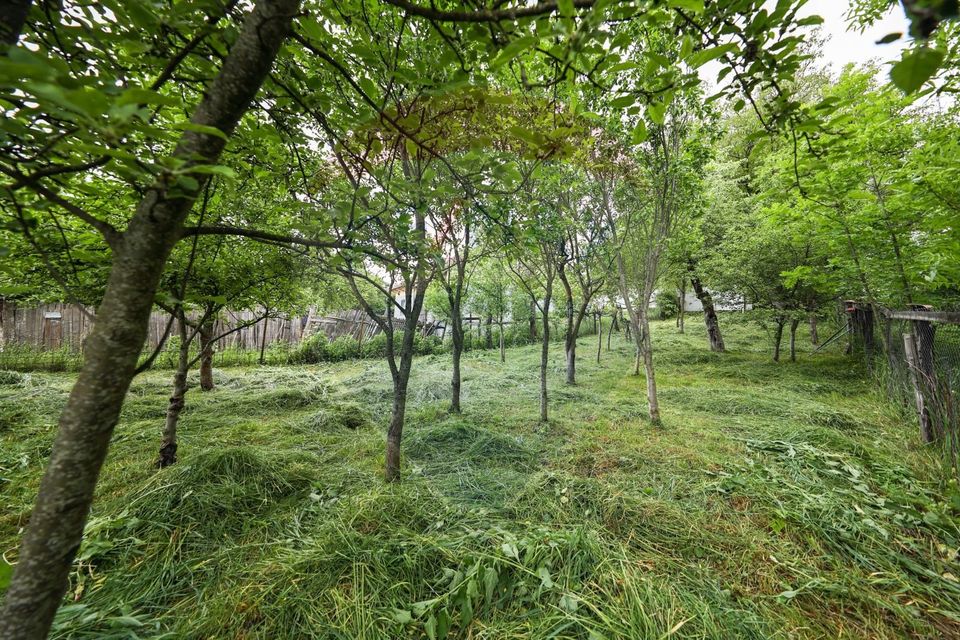 Casă de vacanta, cu annexe si pomi fructiferi, Ungra!