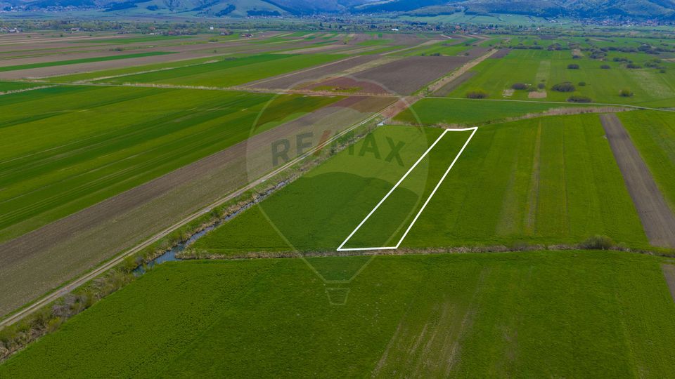 Land 4,000sqm Stupinii Prejmerului / Strada FN