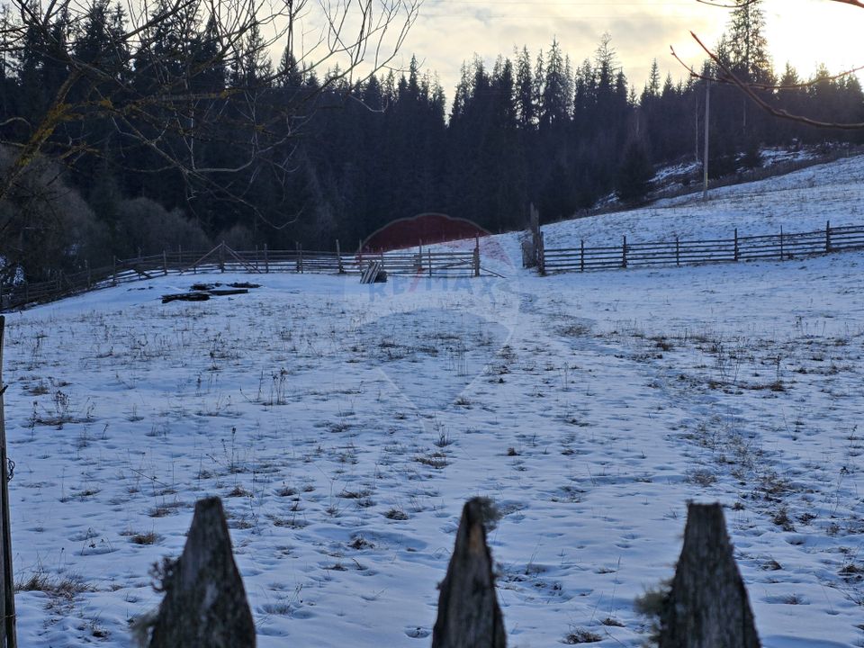Teren 2,833mp Vatra Dornei / None