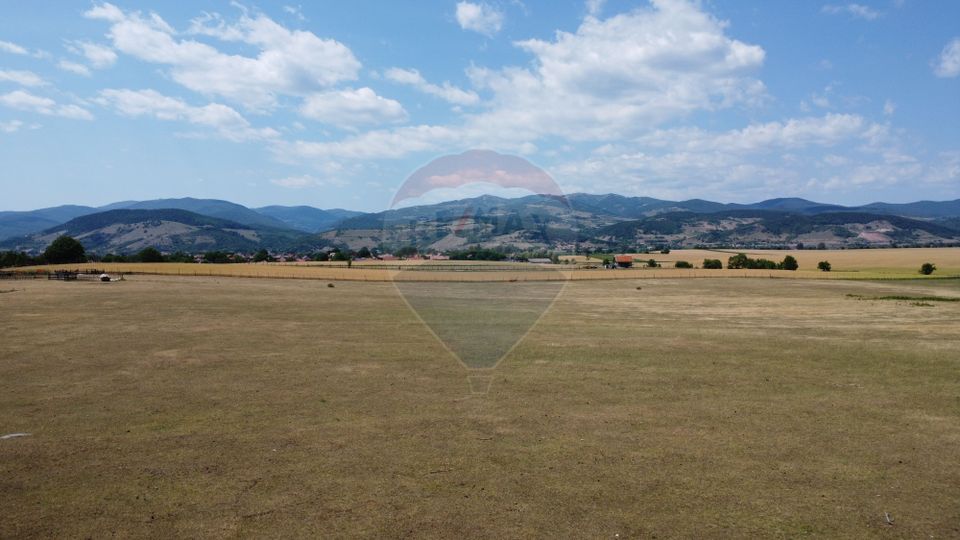 Teren industrial 5.000 mp Vintu de Jos – amplasament strategic