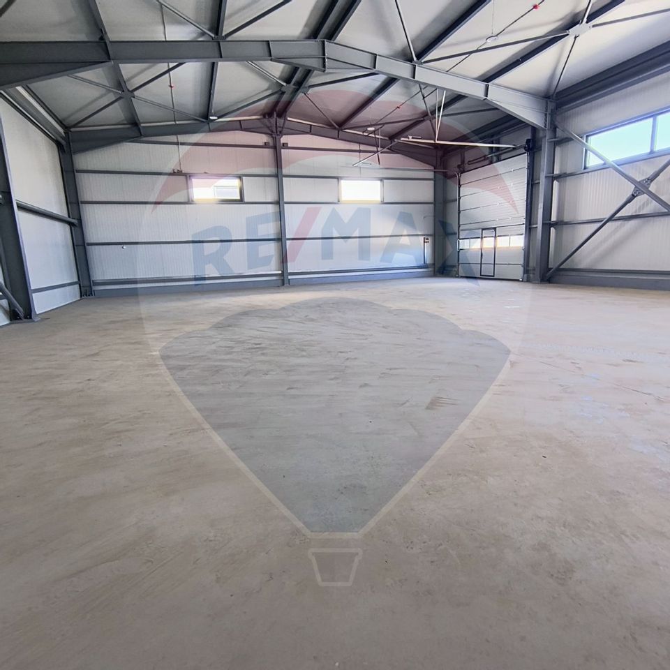 Hale noi de inchiriat Domnesti - putere instalata pana la 600kva