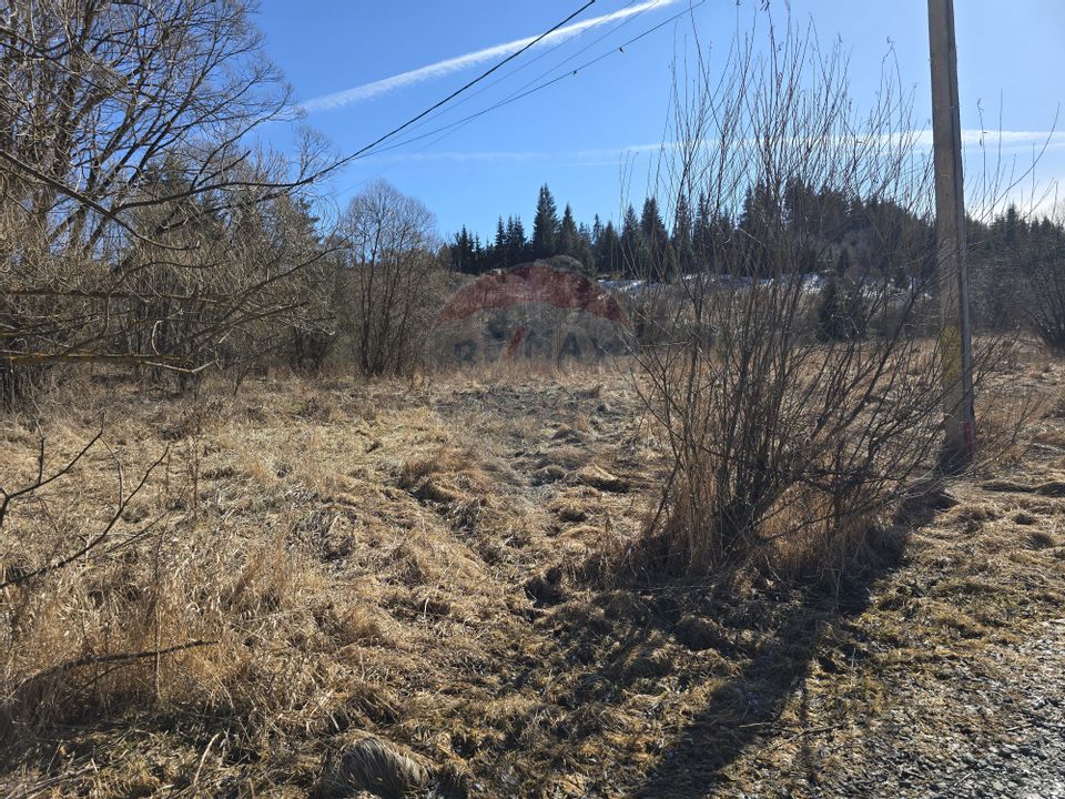 Land 3,135sqm Dorna-Arini / Drumul GURA NEGRI