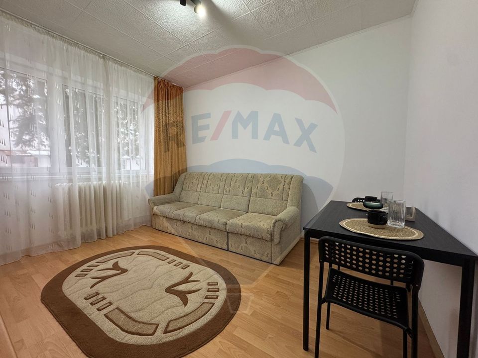1 room Apartment for rent