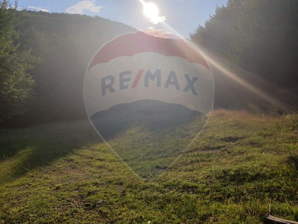 Poiană pentru cabana de vanzare intravilan Coas